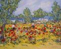 champ de coquelicots en anjou 81x65 non dispo