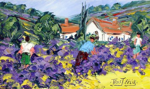 Champ de Lavandes 27x16 Non Dispo