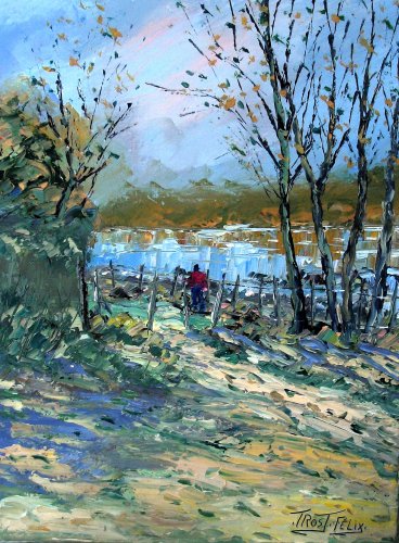 Promeneur  Sainte  Gemmes sur Loire 61 x 46 